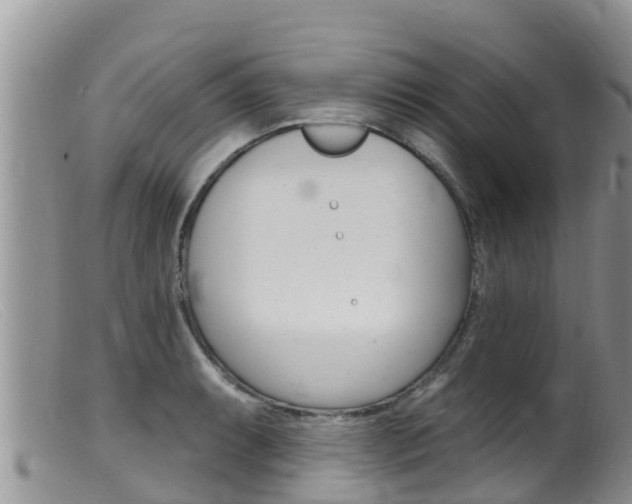 X0000099541087200805160743