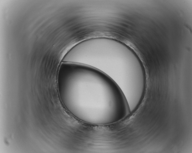 X0000099541089200805160743