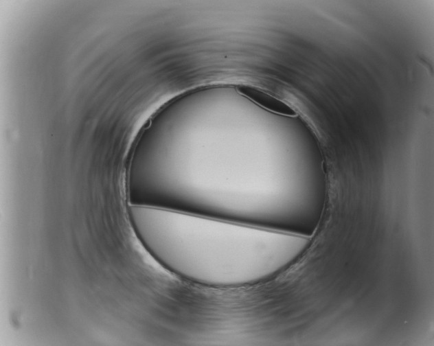 X0000099541092200805160743