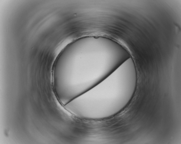 X0000099541095200805160743