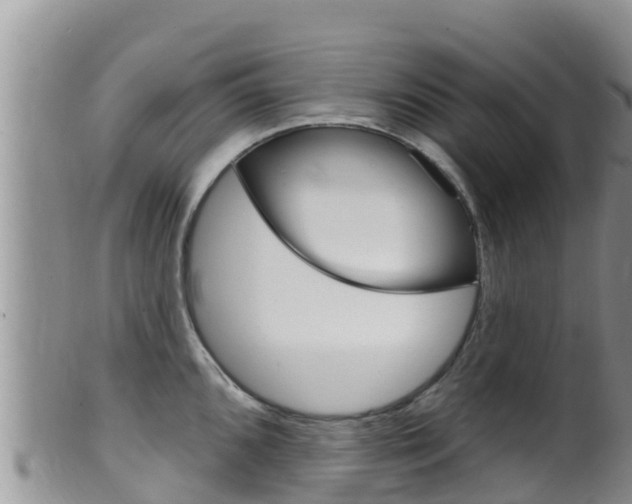 X0000099541096200805160743