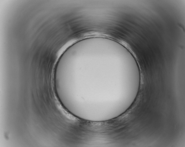 X0000099541098200805160742