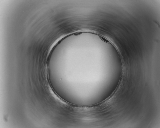 X0000099541100200805160742