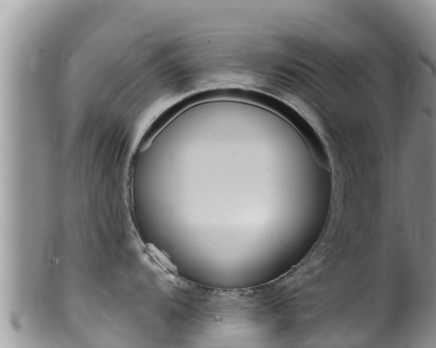 X0000099541104200805160742