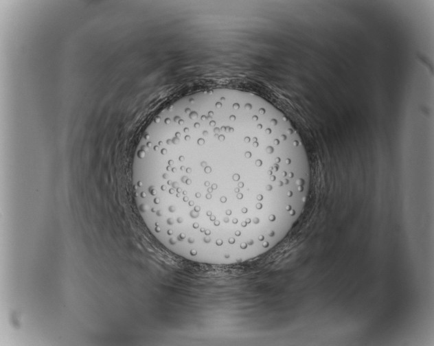 X0000099541105200805160742