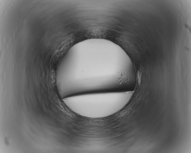 X0000099541107200805160742