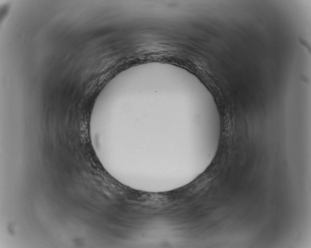 X0000099541109200805160742