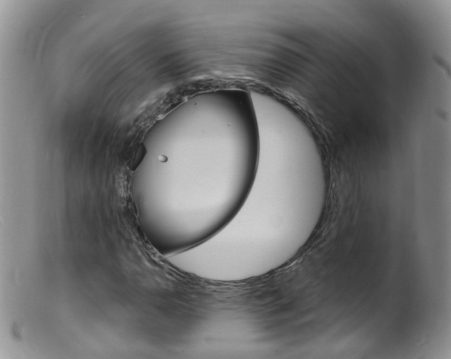 X0000099541110200805160742