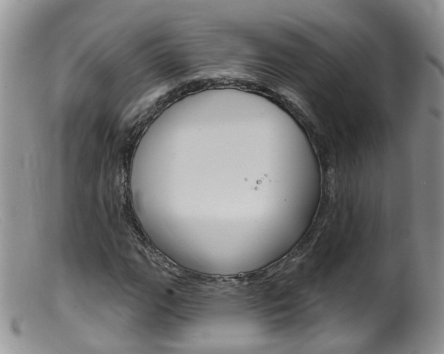 X0000099541111200805160742