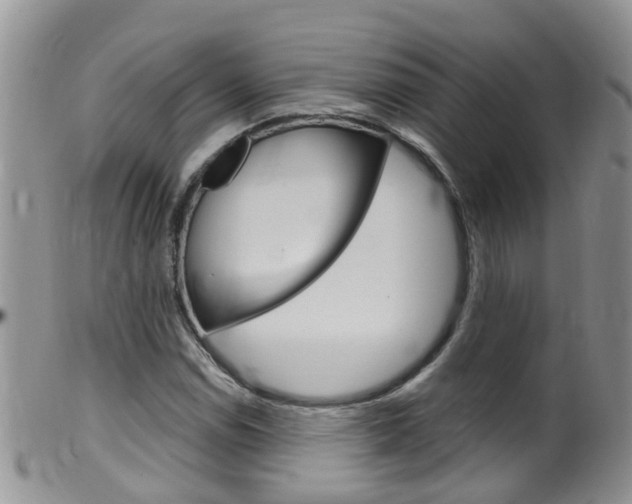 X0000099541114200805160742