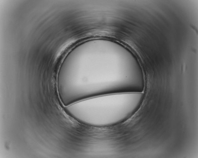 X0000099541115200805160742