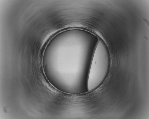X0000099541116200805160742