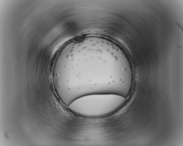X0000099541117200805160742