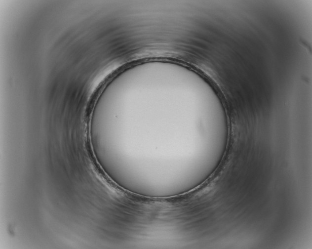 X0000099541119200805160742