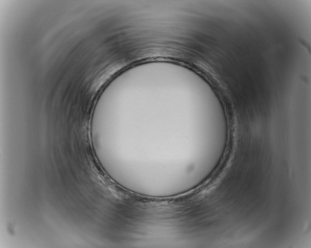 X0000099541121200805160742