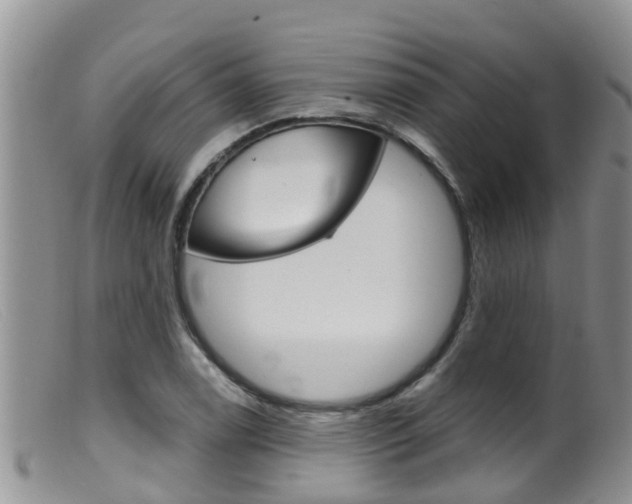 X0000099541122200805160742