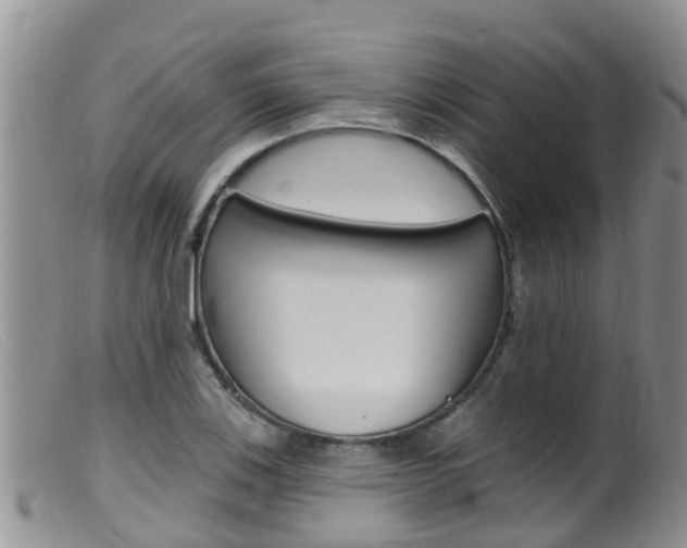 X0000099541123200805160742