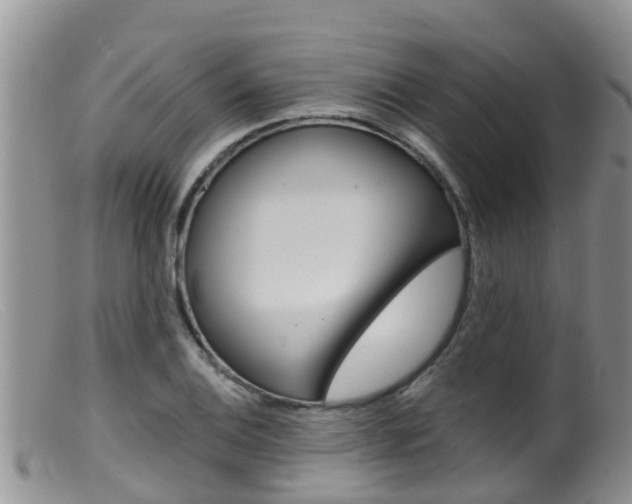 X0000099541124200805160742