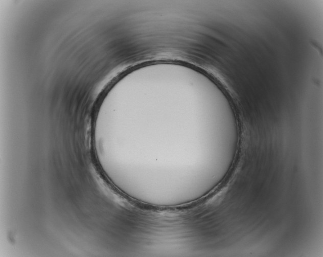 X0000099541126200805160742