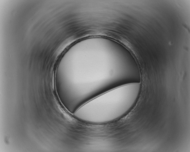 X0000099541127200805160742