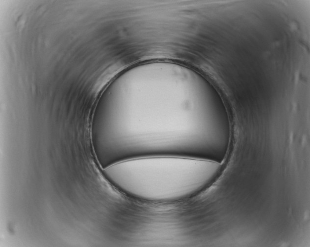 X0000099541129200805160742