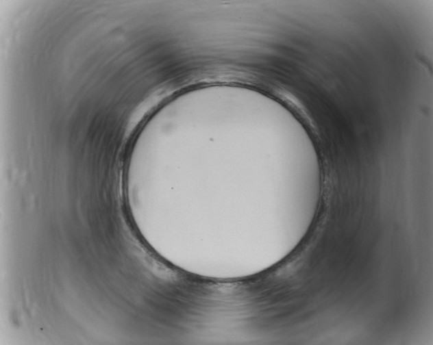 X0000099541130200805160742