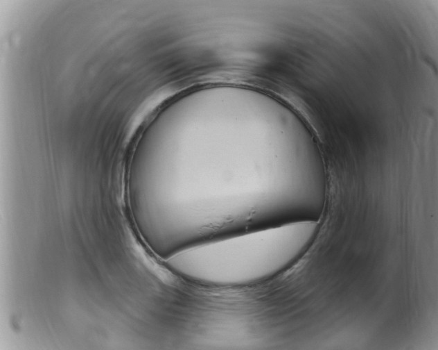 X0000099541131200805160742