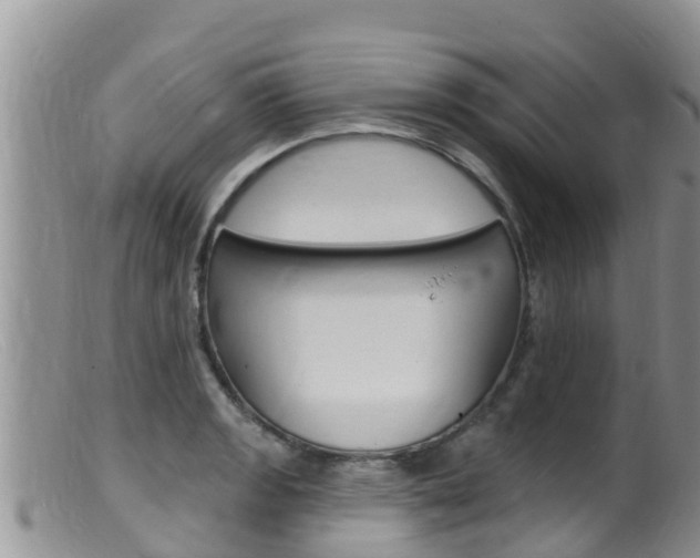 X0000099541133200805160742