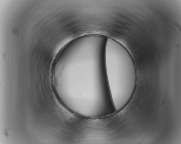 X0000099541135200805160742