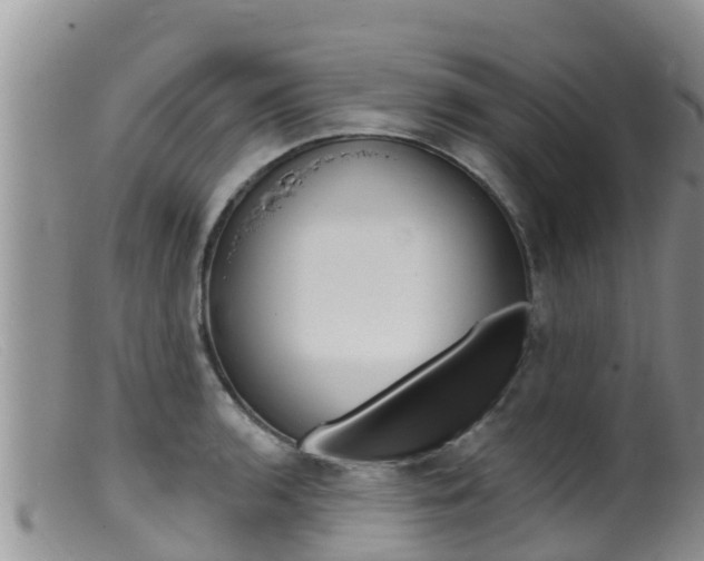 X0000099541136200805160742