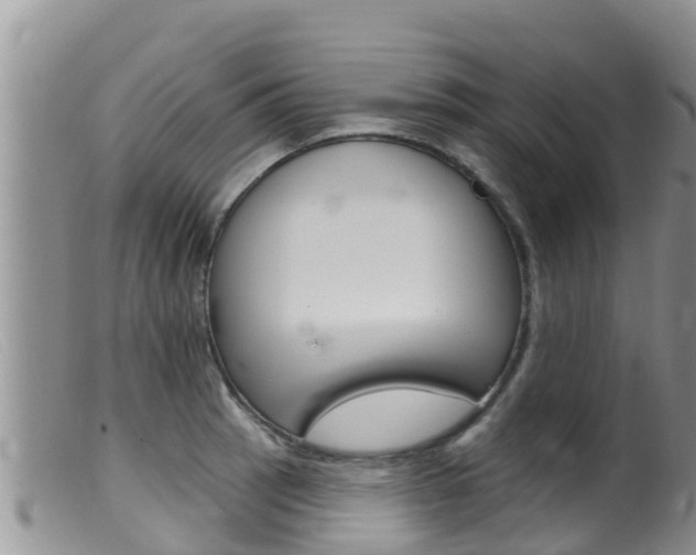 X0000099541137200805160742
