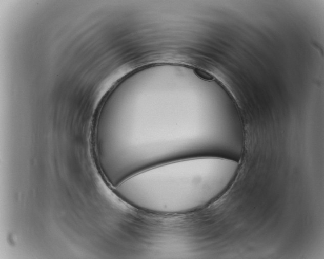 X0000099541139200805160742