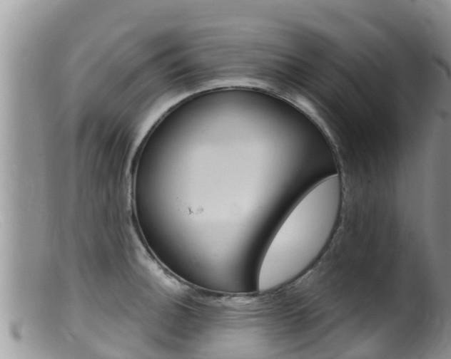 X0000099541140200805160742