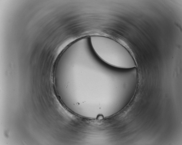 X0000099541141200805160742