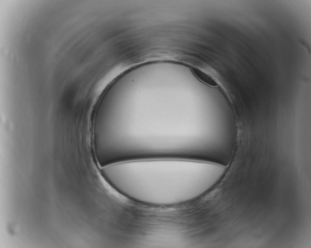X0000099541143200805160742