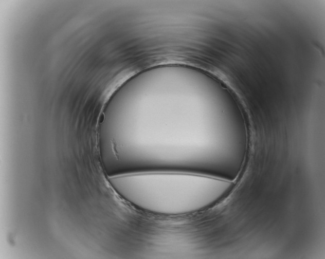 X0000099541145200805160742