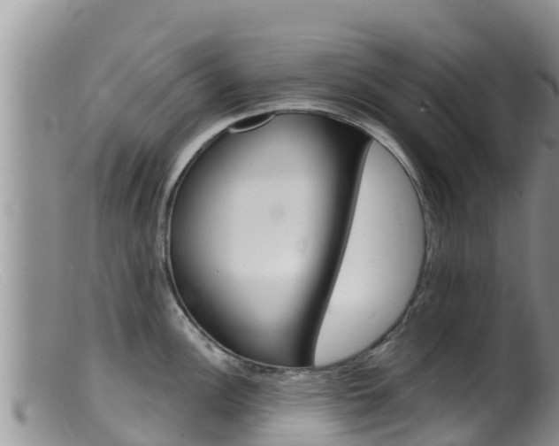X0000099541148200805160742
