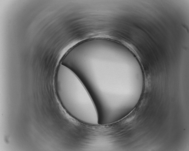X0000099541149200805160742