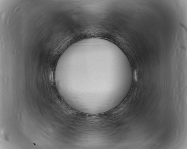 X0000099541155200805160742