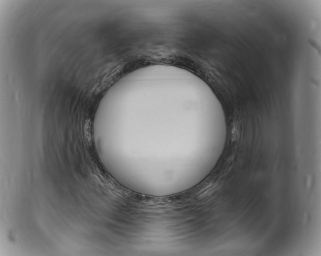 X0000099541156200805160742