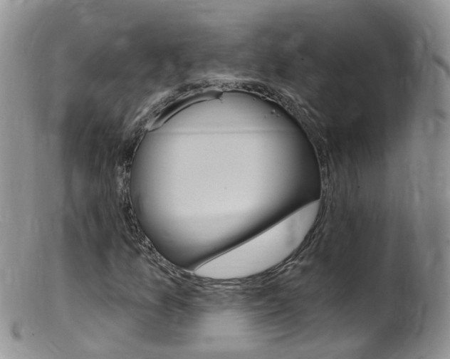 X0000099541157200805160742