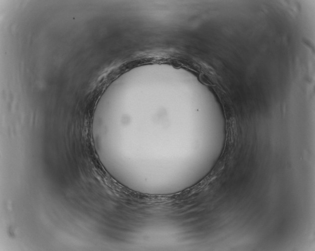 X0000099541158200805160742