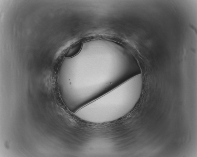 X0000099541159200805160742