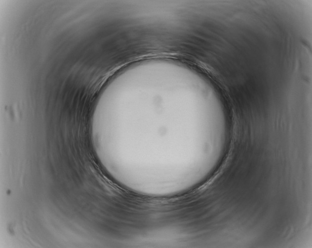 X0000099541161200805160742