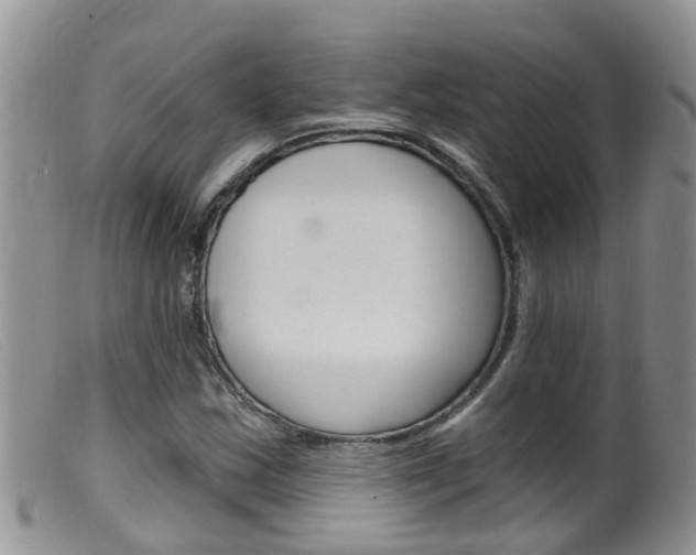 X0000099541163200805160742