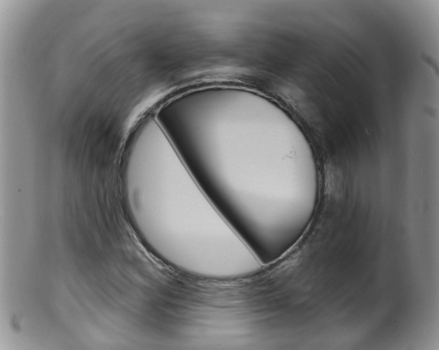 X0000099541164200805160742