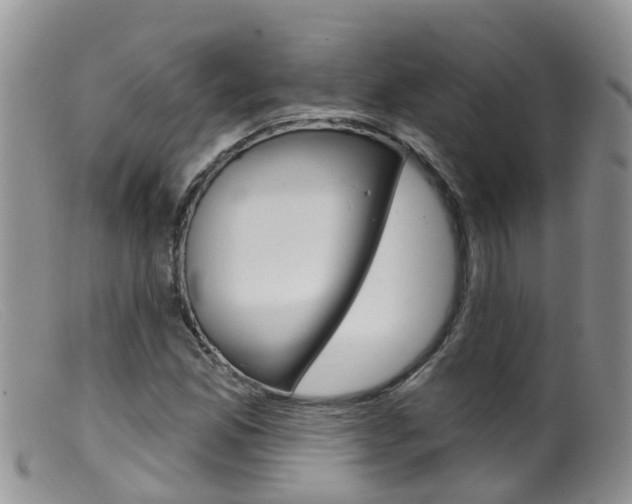X0000099541165200805160742