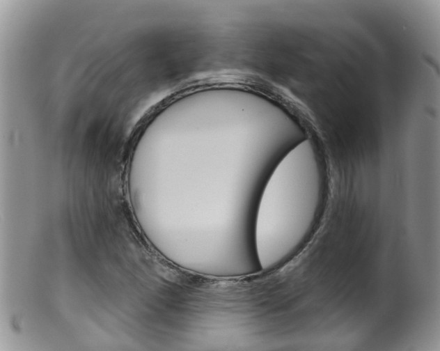 X0000099541166200805160742