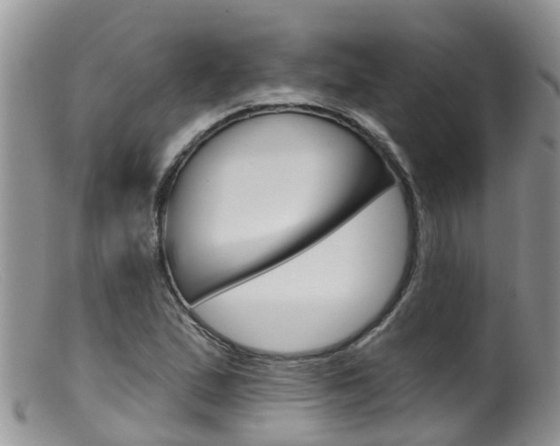 X0000099541167200805160742