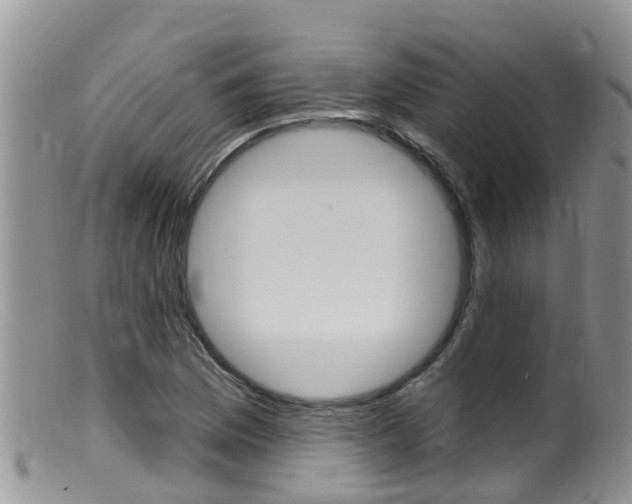 X0000099541169200805160742